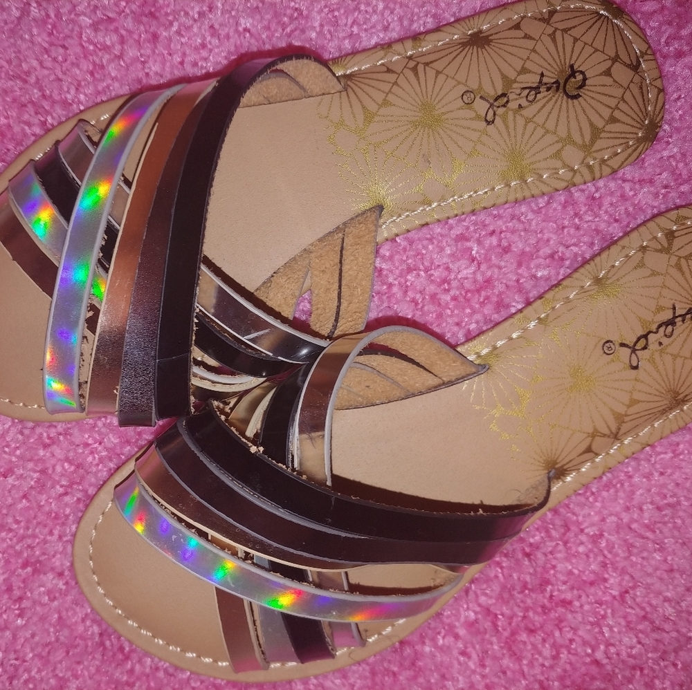 A pair slippers